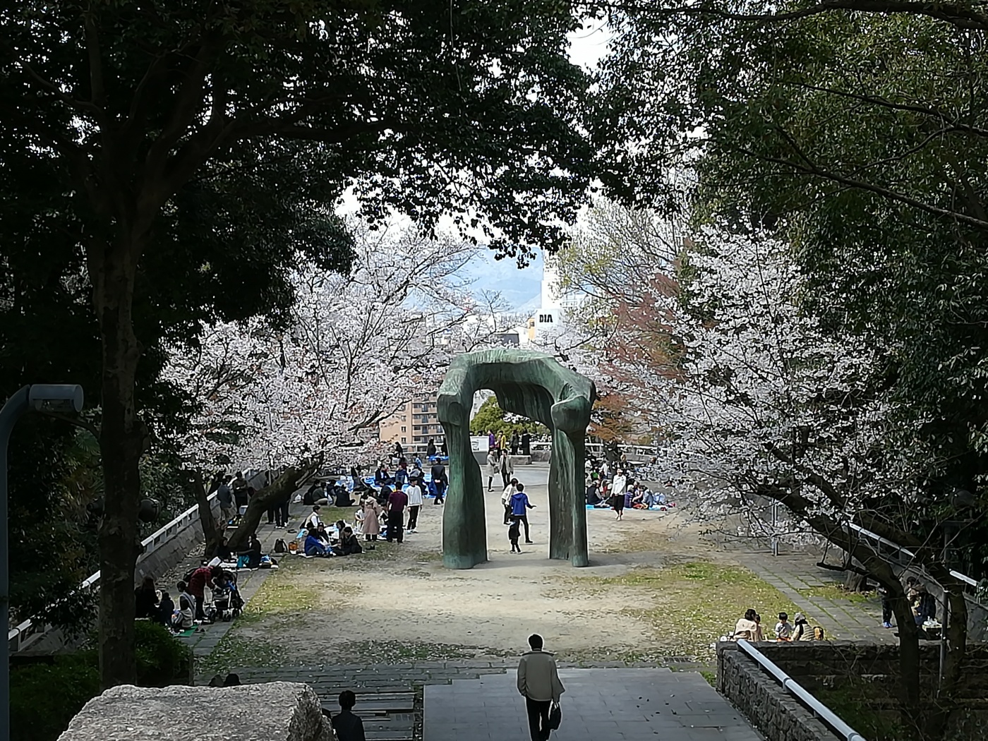 比治山公園の桜 アナウンサーブログ 棚田アナ Tssテレビ新広島